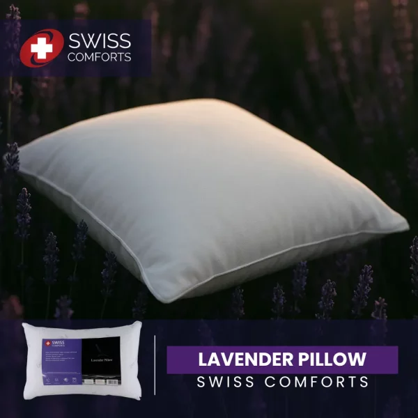 Swiss Comforts Lavender Pillow